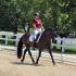 National Dressage Pony Cup